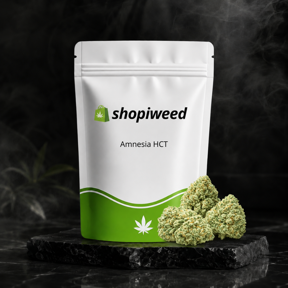 Amnesia HCT